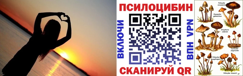 KRAKEN зеркало  Нолинск  Псилоцибиновые грибы Psilocybine cubensis  продажа наркотиков 